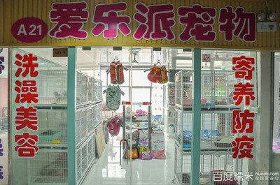 愛(ài)樂(lè)派寵物生活館 專業(yè)貓洗澡體驗(yàn)與糯米寵物用品銷售指南